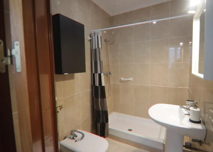 Ficus Junto A La Playa * Cádiz