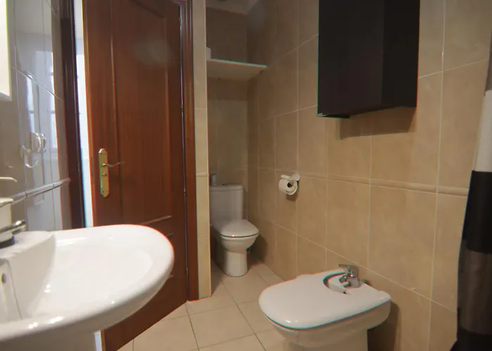 Ficus Junto A La Playa