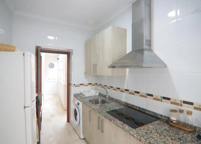 Ficus Junto A La Playa カディス