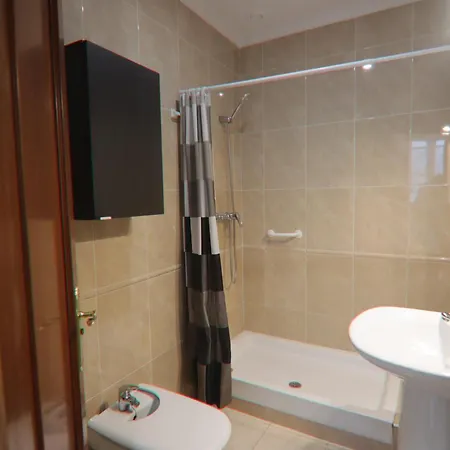 Ficus Junto A La Playa * Cadiz