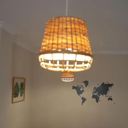 Ficus Junto A La Playa * Cadiz