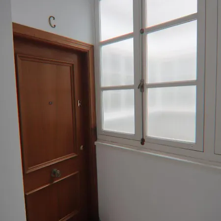 Ficus Junto A La Playa Daire