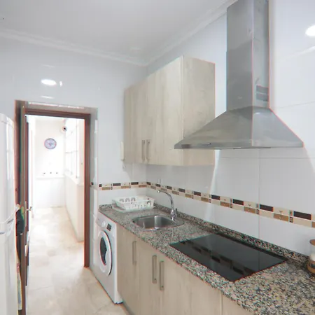 Ficus Junto A La Playa Cadiz