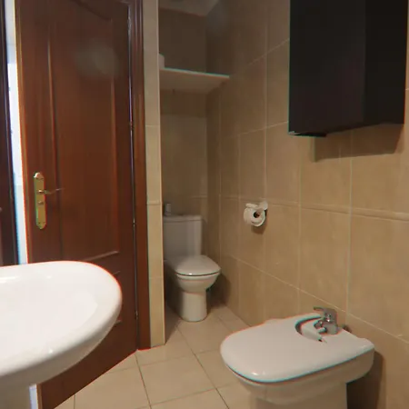 Ficus Junto A La Playa Daire Cadiz